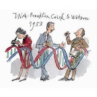 Cartoon of Franklin with a microscope, while Crick and Watson drink beer and expostulate, at a bar stylized as a double helix. By Quentin Blake.