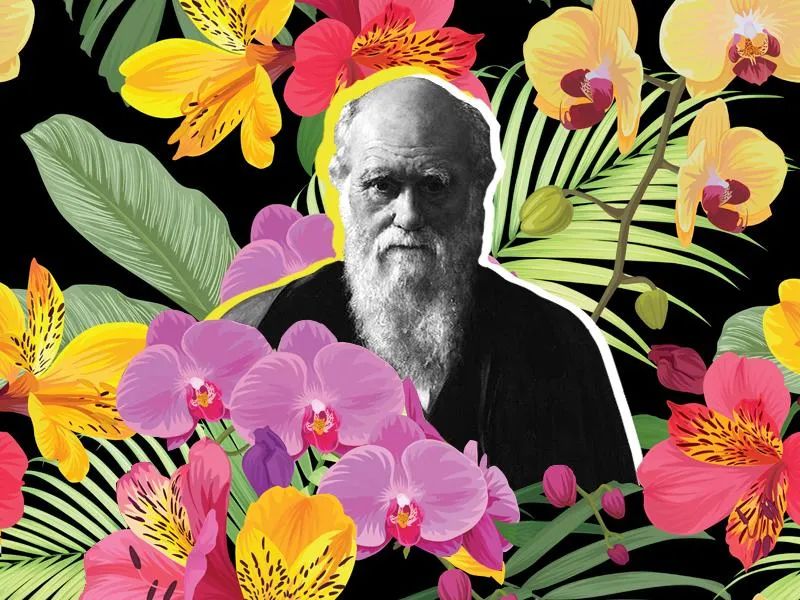 Photo portrait of Darwin surrounded by leaves and flowers, from SmithsonianMag.bsky.social. 