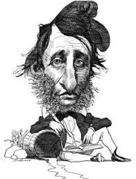 Caricature of Thoreau by David Levine for The New York Review of Books.