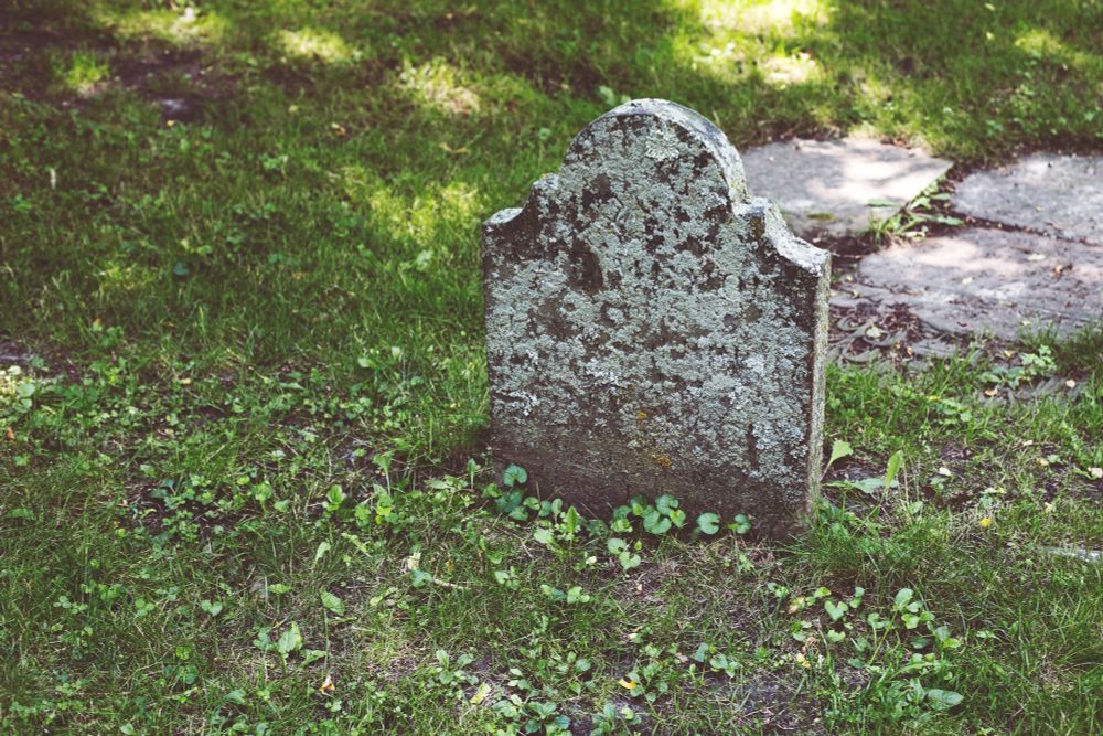 A faded gravestone in an overgrown cemetery.