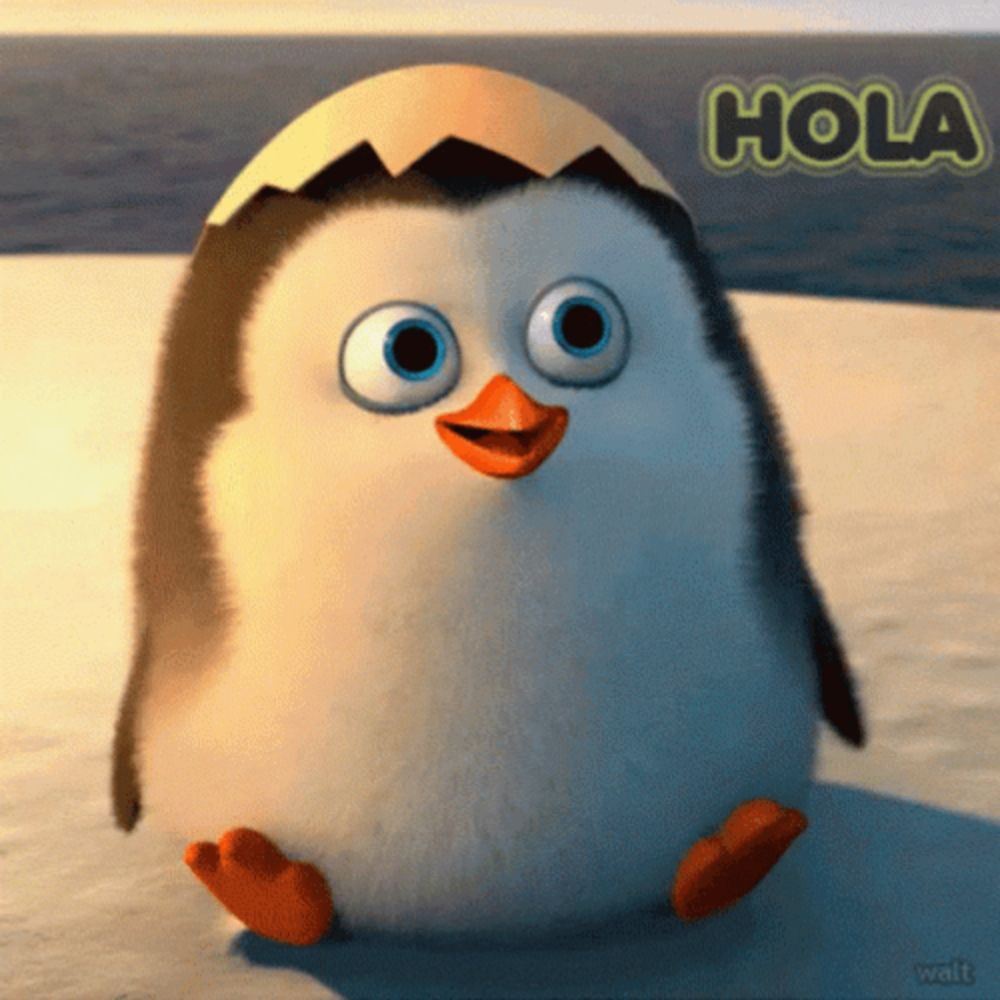 Hola Cute Penguin GIF | GIFDB.com