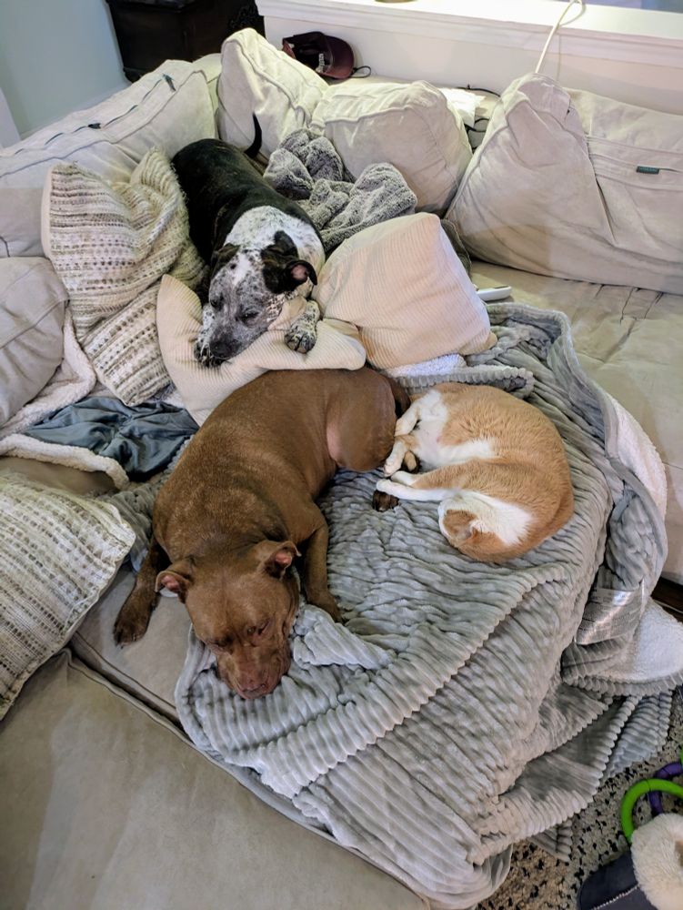 Dr thunder and fanny hanging with taco cat...