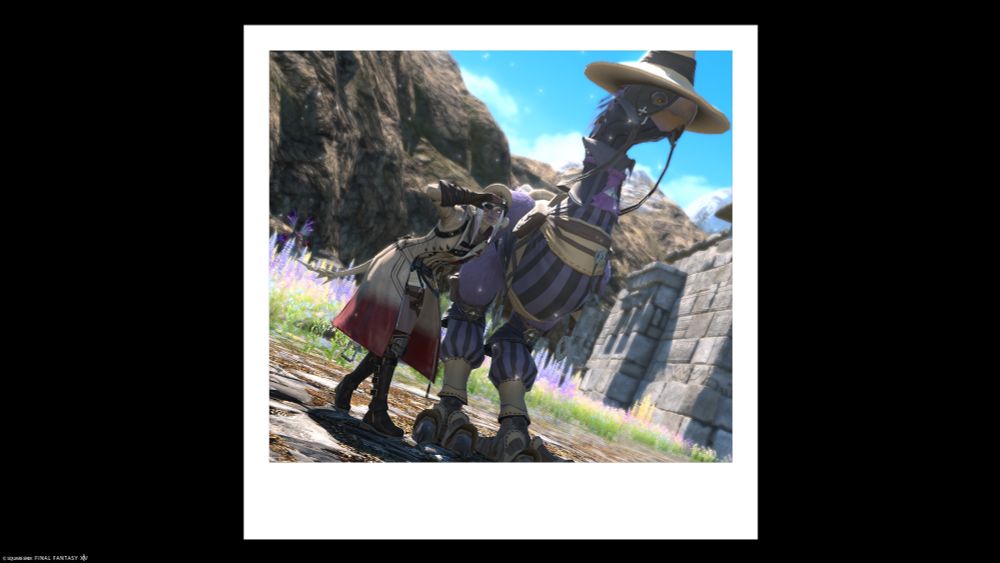 The Warrior of Light squints into the distance, her hand raised over her brows. Her trusty Chocobo stands proudly beside her.