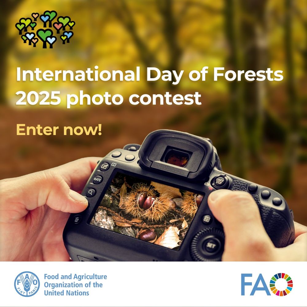 Los bosques alimentan al mundo. Captura su impacto en la nutrición y gana premios. Concurso de fotos del día internacional de los bosques