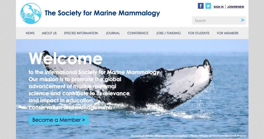 Conservation Grant Program 2024 - Society for Marine Mammalogy