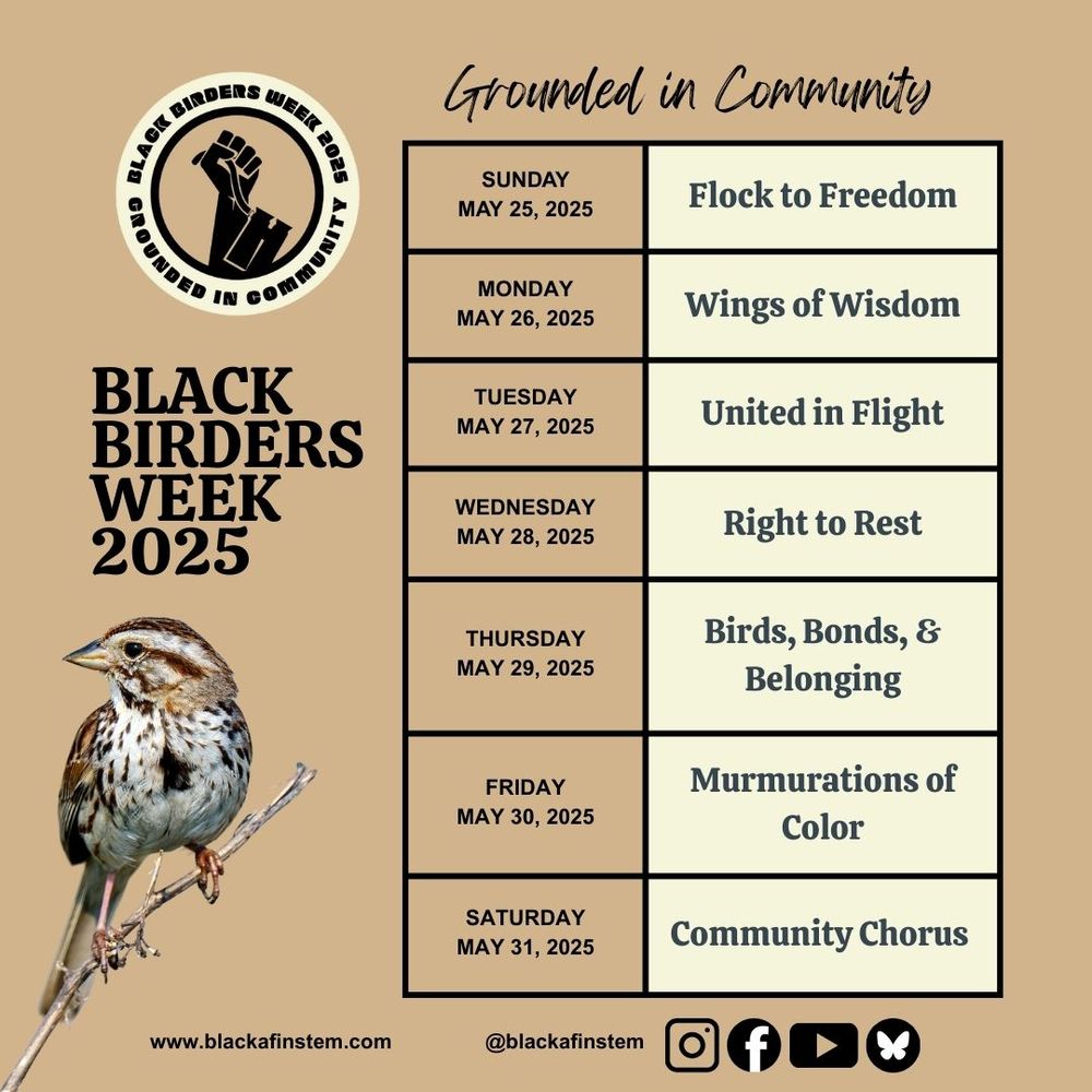 A brown background flyer with a song sparrow in the bottom left corner with primary text reading Black Birders Week 2025. In order, starting Sunday May 25th is Flock to Freedom, then Wings of Wisdom, United In Flight, Right To Rest, Birds, Bonds & Belonging, Murmuations of Color, and lastly, Community Chorus on Saturday May 31st