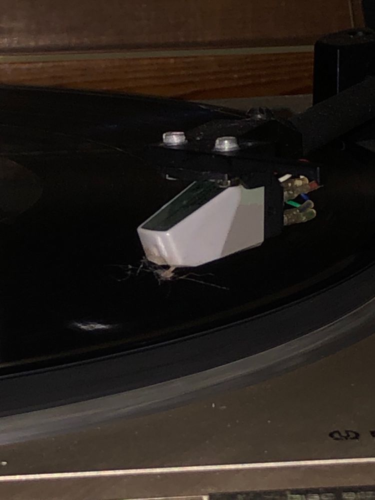 A record player stylus crushed up with dust after one song. 