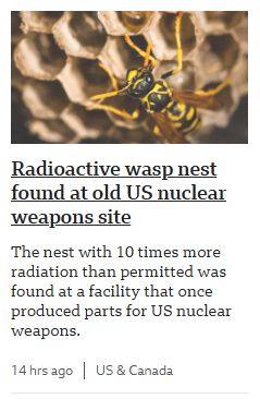 A news story card that reads:
Radioactive wasp nest found at old US nuclear weapons site
The nest with 10 times more radiation than permitted was found at a facility that once produced parts for US nuclear weapons.
14 hrs ago | US & Canada
