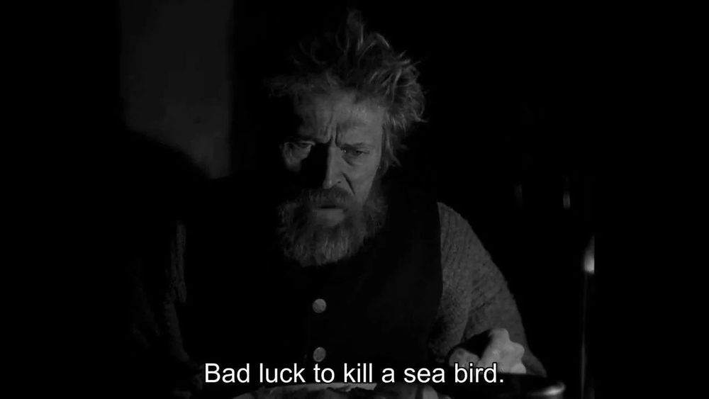 Thomas Wake, portrayed by Willem Dafoe, in the 2019 film The Lighthouse. The caption reads "Bad luck to kill a sea bird"