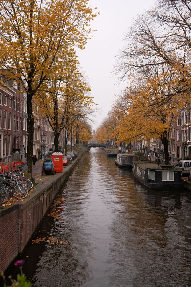 This picture is taken from a bridge and it shows a canal from front to background. On the left and right side of the canal are trees with orange leafs, on the right side of the canal are boats.