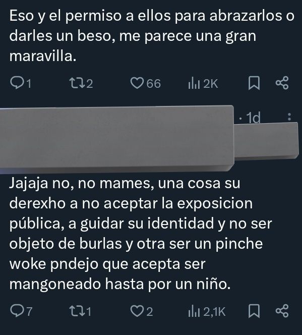 Captura de pantalla de dos comentarios realizados en un hilo que habla sobre sharenting (sobreexposición de menores en internet por parte de su familia):
Comentario 1: Eso y el permiso a ellos para abrazarlos o darles un beso, me parece una gran maravilla.

Respuesta al comentario 1 de otro usuario: "Jajaja no, no mames, una cosa si derecho a no aceptar la exposición pública, a guidar su identidad y no ser objeto de burlas y otra ser un pinche woke pendejo que acepta ser mangoneado hasta por un niño".