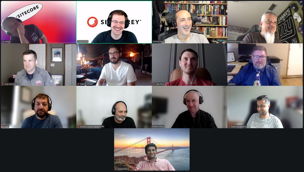 Screenshot of attendees on the July 18, 2025 #SitecoreLunch call.