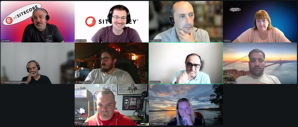 Screenshot of attendees on the June 27, 2025 #SitecoreLunch call.