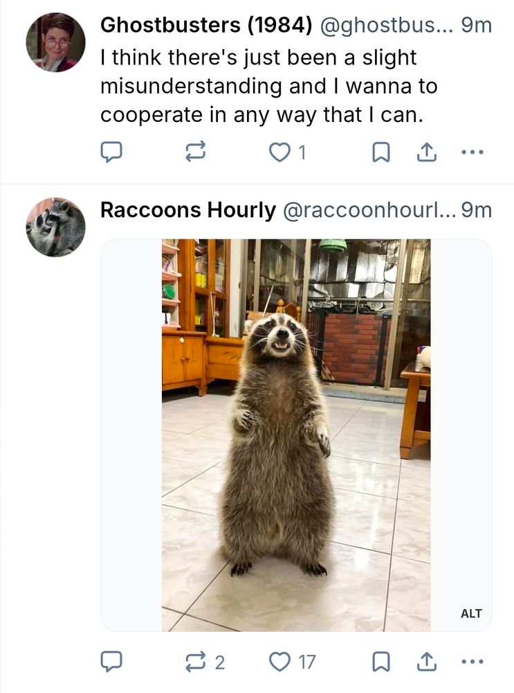 A quote from Ghostbusters "I think there's just been a slight misunderstanding and I wanna to cooperate in any way that I can."
Below the quote, a raccoon with an open mouth stands on its hind legs on a tile floor.