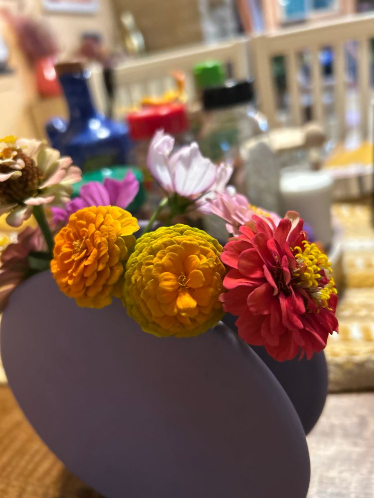 A purple vase of orange and pink zinnias, and pink cosmos.