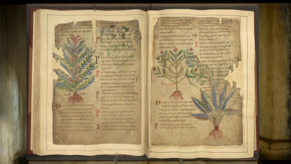1,000-year-old health hacks are trending—and backed by science