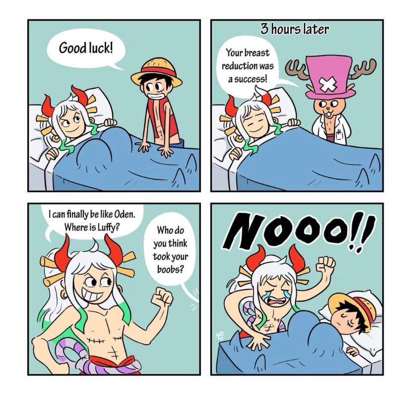 Quadrinho com os personagens Yamato, Luffy e Chopper de One Piece, Yamato vai fazer uma cirurgia de redução de mama (Chopper é o médico) e na tirinha de forma cômica o Luffy que pega as mamas de Yamato 
O que diz na tirinha “Good luck!
Your breast reduction was a success!
I can finally be like Oden.
Where is Luffy?
Who do you think took your boobs?
Nooo!!”