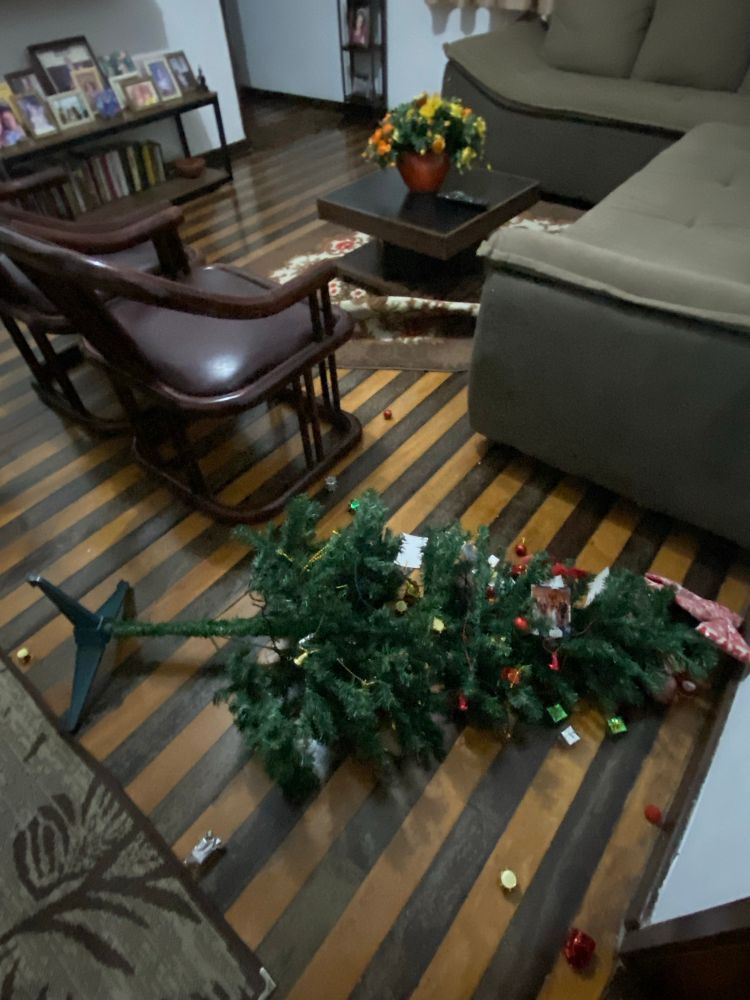 Árvore de Natal caída 