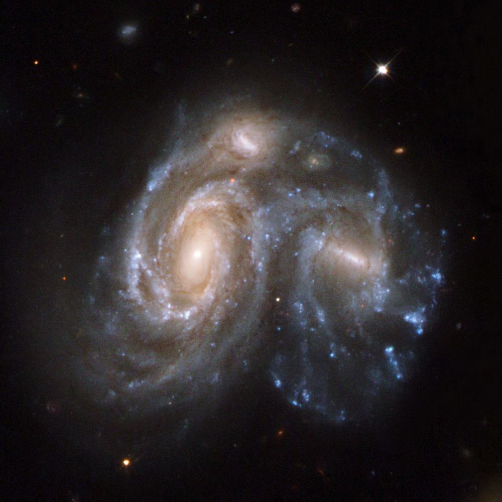 Three overlapping galaxies fill the frame. In the center are two large spiral galaxies. The larger one, at center-left, has a bright nucleus surrounded by a yellow core made of mostly older stars. At the edge of the core, several spiral arms emerge. The arms are threaded with brown dust lanes and dotted with blue star clusters. The second spiral galaxy is at center-right. It has a bright center, bar, and poorly-defined spiral arms. Compared to its companion, this galaxy has less dust and more blue star clusters in its arms. The final galaxy in the triplet appears above the other two within their spiral arms. It is much smaller than its companions and and has a well defined central bar. It's hard to distinguish its spiral arms because they are backlit by the other two galaxies. A few stars appear on the black background of space, including a large foreground star, which appears above the center-right galaxy.