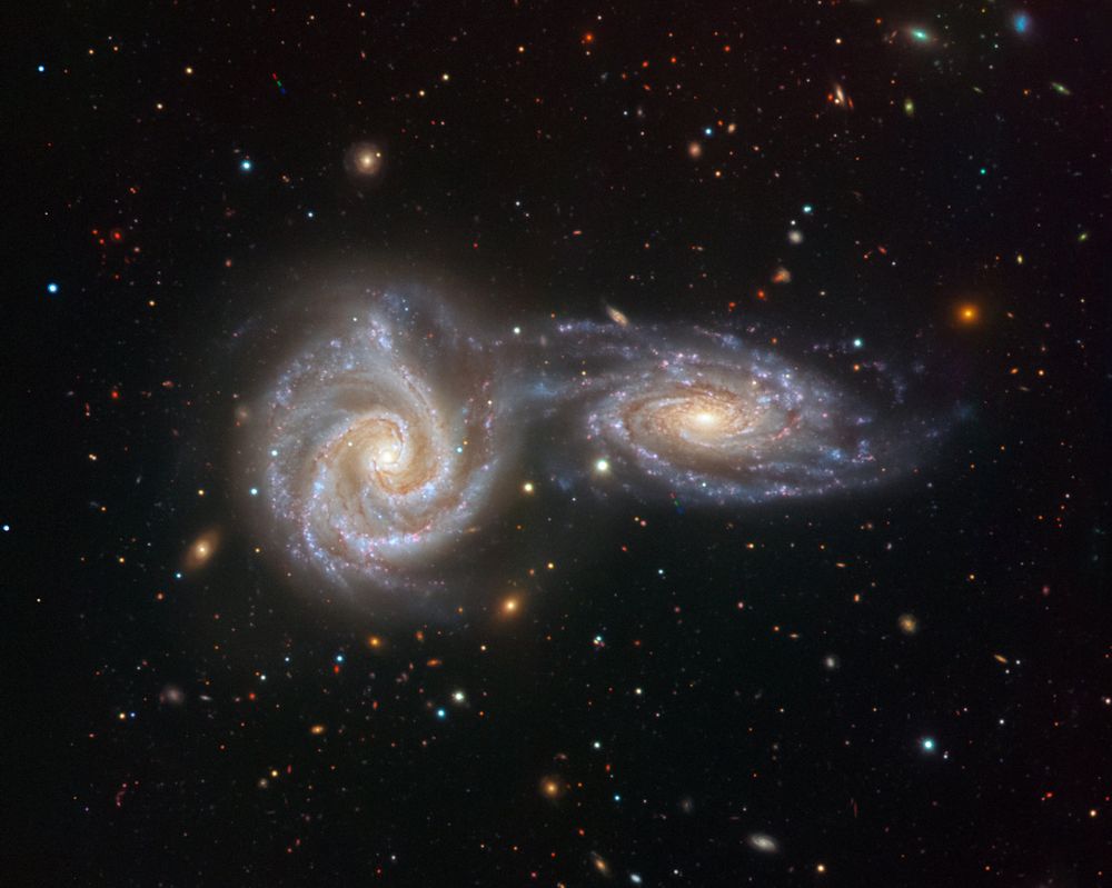 Two similar-looking spiral galaxies take up most of the frame. They both have bright, yellow-white central cores and well-defined spiral arms dotted with blue star clusters and dark dust lanes. NGC 5427 is a nearly face-on spiral galaxy at left. NGC 5426 is a more oblique galaxy at right. The two spiral arms on the upper side of NGC 5426 appear as a bridge that connects with NGC 5427. The black background of space is dotted with stars and small background galaxies.
