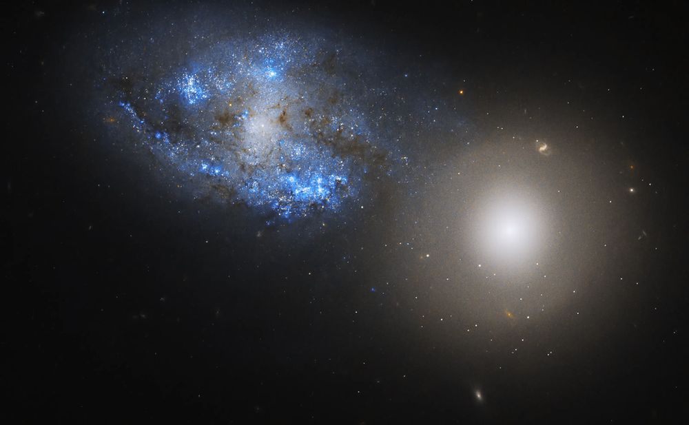 Two side-by-side galaxies fill the image. The left galaxy is a bright spiral galaxy bursting with blue star clusters, crossed by dark brown dust lanes. The right galaxy is a lenticular galaxy. It bright yellow-ish white center that gradually becomes more transparent, emitting a hazy glow. Distant stars and galaxies dot the background.