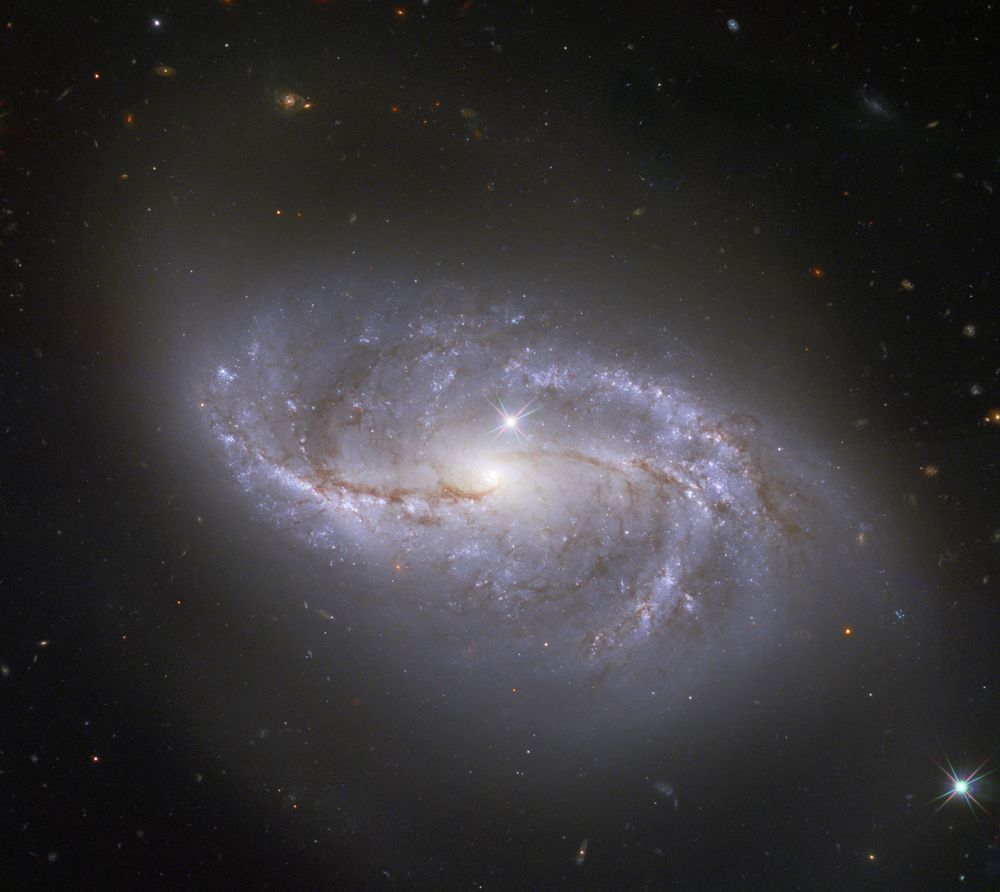 A face-on barred spiral galaxy fills most of the frame. It has a yellow central core and horizontal bar structure. Attached to the bar are several spiral arms which originate at the end of the bar and spiral clockwise. The arms are somewhat squished, so the galaxy appears oval-shaped, longer than it is tall. There are two foreground stars with diffraction spikes, one right above the core of the galaxy and one to the lower right. The black background of space is dotted with numerous tiny, distant galaxies.