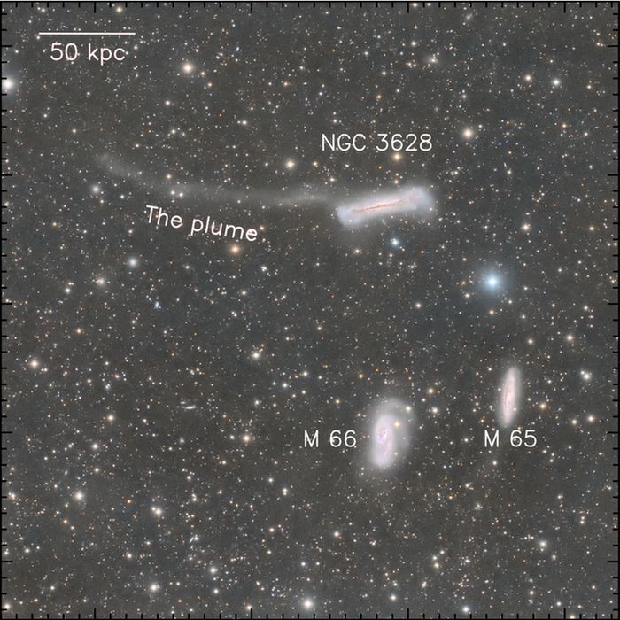 A color image of three widely separated galaxies. The galaxy at the upper left, NGC 3628, is an edge-on spiral, seen as a thin rectangular shape with a light brown dust lane going through the middle. A translucent, curved plume, about two times the length of the galaxy trails off to the left. The galaxy at lower left, M 66, is a face-on barred spiral galaxy, with a bright central bar and two spiral arms, which form an S-shape. The galaxy at lower right, M 65, is a nearly face-on spiral, with a bright nucleus and curving dust lanes. The image is very dense with foreground stars. A scale bar marking 50 kpc takes up about 1/6 of the width of the image.