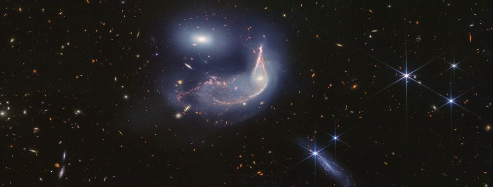 Arp 142, two interacting galaxies, take up less than a third of the frame. At the top is NGC 2937, nicknamed the Egg. Its center is brighter and whiter. There are six diffraction spikes atop its gauzy blue layers. At the center is NGC 2936, nicknamed the Penguin. In this view it is resting on its back, facing up. Its beak-like region points toward and above the Egg. Where the eye would be is a small, opaque yellow spiral. The Penguin’s distorted arms and thin red dust lanes from the bird’s beak, back, and tail. The tail is wide and layered, like a beta fish’s tail. A semi-transparent blue hue traces the Penguin and extends from the galaxy, creating an upside-down U over top of both galaxies. At bottom center-right is another galaxy seen from the side, pointing at an angle. It is largely light blue. Its length appears approximately as long as the Egg’s height. There are several foreground stars with large, bright blue diffraction spikes. The wide black background is filled with tiny, extremely distant galaxies.