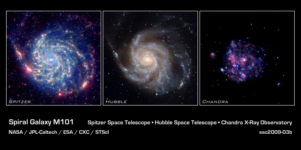 Four-panel image made of one large panel on the left with a multiwavelength image of the face-on spiral galaxy M101 from NASA's Great Observatories, with three additional panels stacked vertically on the right showing single-color images from Spitzer, Hubble, and Chandra. In the multi-wavelength image, the galaxy has a small yellow core. Several  arms spiral clockwise around the core. They are crossed by red, filamentary dust lanes and made of a haze of yellow stars. The arms are somewhat well-defined but asymmetric. One arm curls from about 6 o'clock to 9 o'clock and is mostly separated from the body of the galaxy. Another arm follows more closely to the core, from about 6 o'clock to 12 o'clock. Three other arms cover the area from 12 o'clock to 6 o'clock. Near the center of the galaxy, especially on the left side, is a blue haze and many blue dots. In the red Spitzer image in the top right panel, we see a network of filentary dust lanes. The spiral arms are present, but they are not as distinct as in the visible light view. In the yellow Hubble image in the middle right panel, the spiral arms are well-defined and are crossed by dark dust lanes. In the blue Chandra image in the panel at bottom right, blue splotches partially define spiral arms. These arms are smaller and less distinct than in the other views. Dots are scattered throughout the image, including a concentration of points at the galaxy's core. Credit NASA, ESA, CXC, SSC, and STScI. STScI-PRC09-07A.