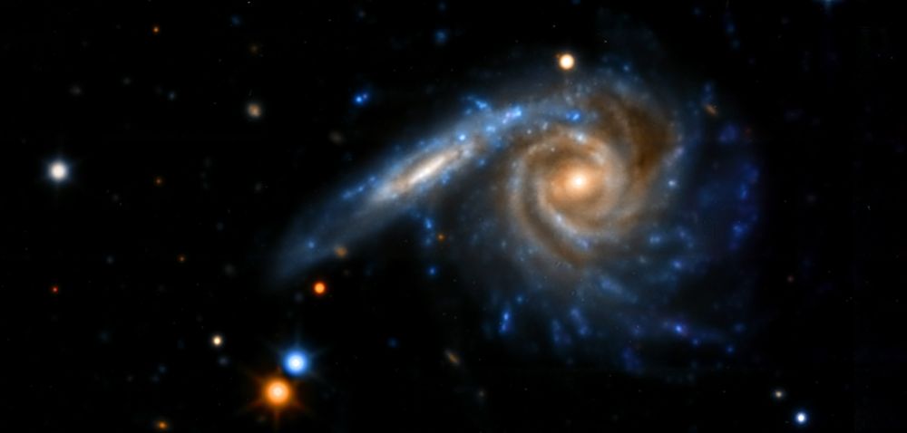 A pair of spiral galaxies, one seen nearly edge-on and one seen face-on. The face-on spiral to the right has a bright yellow central core and two well-defined spiral arms that loop counterclockwise around the galaxy. The inner parts of the spiral arms are yellow, while the outer arms fan out into blue stars and star clusters. One spiral arm begins at about 6 o'clock, curls around to the top of the galaxy at 12 o'clock and then ends at the bottom of the galaxy around 6 o'clock. The second arm begins at around 9 o'clock and curls around, ending at the top of the galaxy around 12 o'clock. The nearly edge-on galaxy to the left overlaps at the top of the face-on galaxy, appearing like a continuation of the face-on galaxy's second spiral arm. It's disk is tilted, so it appears as a long, thin oval rather than a circle. The galaxy also has a yellow central core and an outer edge dotted with blue star clusters. In the black background of space are a few other colorful dots, which are foreground stars or background galaxies.