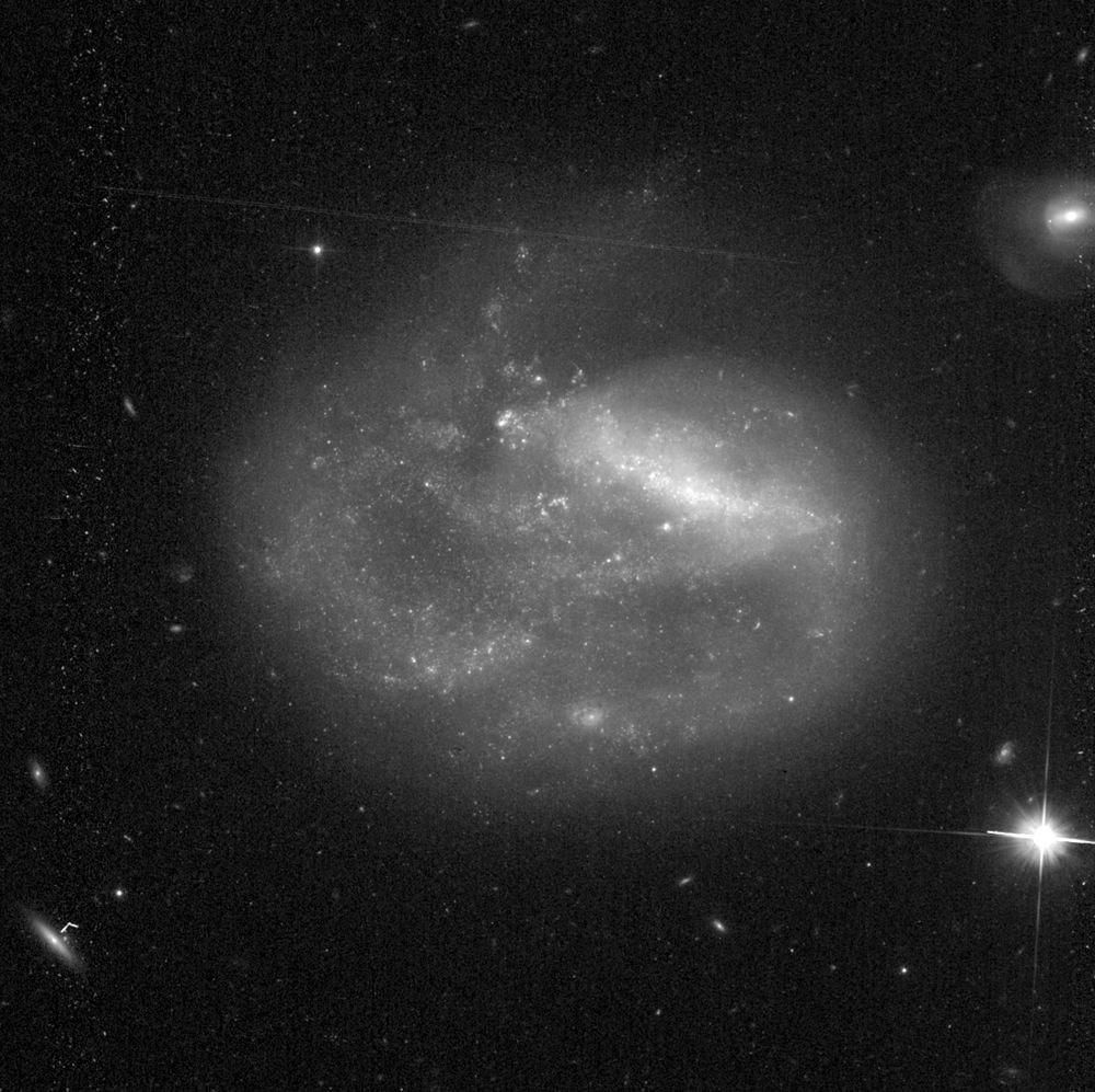 A greyscale image of a one-armed barred spiral galaxy fills most of the frame. The bar, seen as a bright line of stars and star clusters anchors the galaxy. Beginning at about the 3 o'clock position, a spiral arm wraps clockwise around the galaxy, ending at around 12 o'clock. The arm is formed from a haze of stars and are dotted with bright star clusters. In the upper part of the frame, partially cut off at the right edge, is a smaller galaxy. It has a bright center and a more diffuse disk or halo of stars. Dotted across the black background of space are small background galaxies and foreground stars. The image has a noticeable amount of detector noise which has not been removed. 