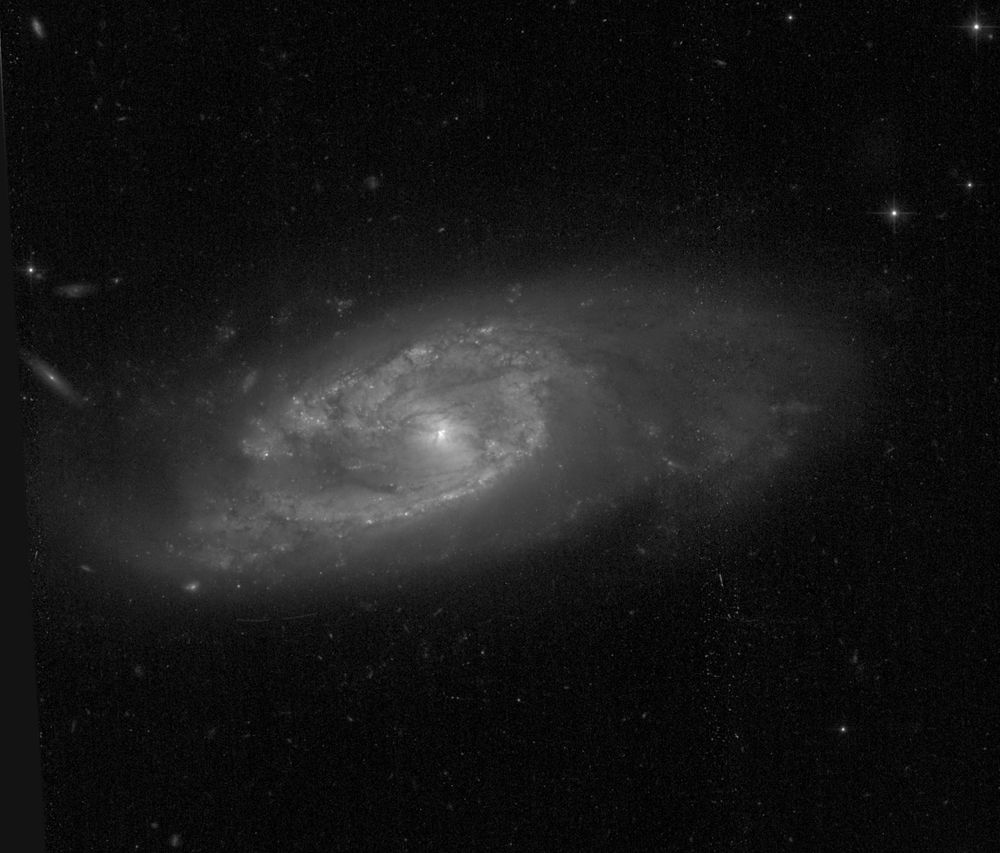A greyscale image of a spiral galaxy. The faint galaxy has a central bar and two spiral arms that wind clockwise around the galaxy. The arms are crossed by dark dust lanes and  dotted with bright star clusters. The image has some detector noise and lines from cosmic rays, which have not been removed.