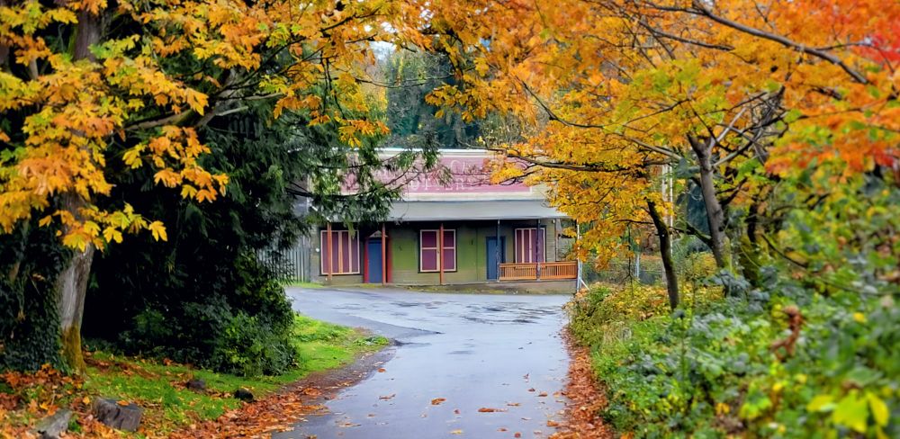 An abandoned pottery barn partially obscured by trees with leaves that have turned colors in late fall.