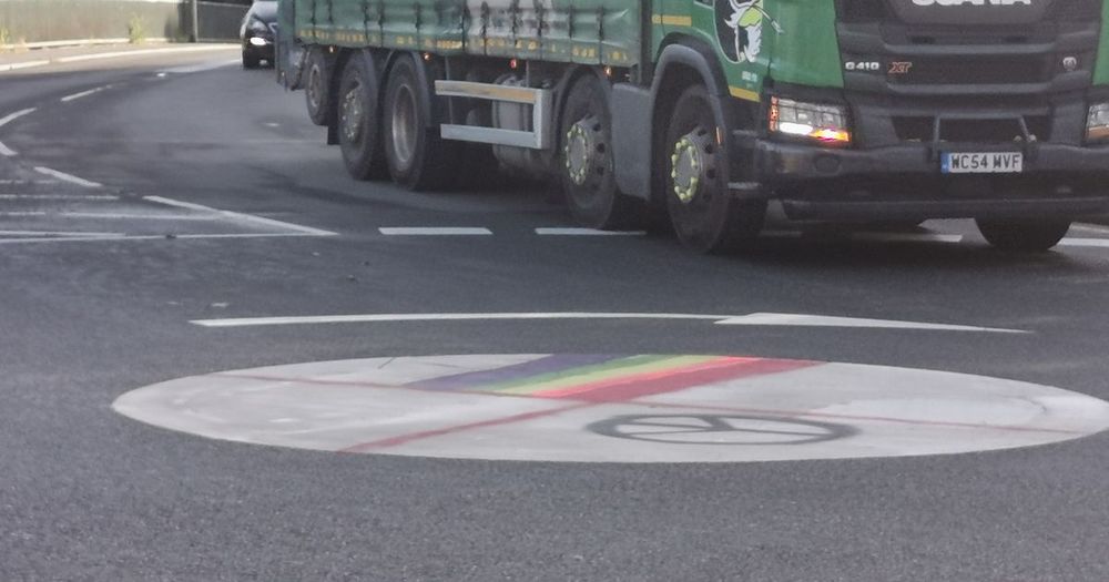 A councillor has labelled flag-related vandalism 'pathetic'