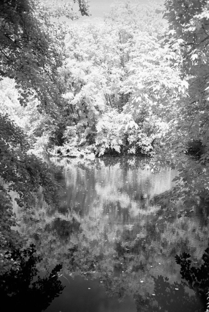 Infrared black and white photo of a forested pond surrounded by dense, leafy trees with bright white foliage and dark reflections on the water; captured with a Minolta CLE and Voigtländer Nokton Classic 35mm f/1.4 lens using a red filter on Aviphot 200 film, developed in T-Max 1:4.