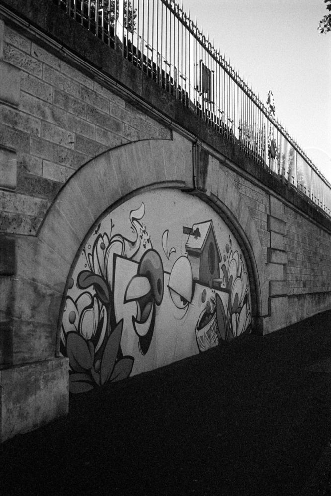 A black-and-white capture of a mural under a stone arch along a raised roadway. The graffiti features bold, cartoonish birds, a birdhouse, and stylized foliage, standing out in sharp contrast against the textured stonework above. Image made with Kodak T-Max P3200, developed in XTOL 1:1. Shot with a Minolta CLE and the Voigtländer Nokton Classic 35mm f/1.4.