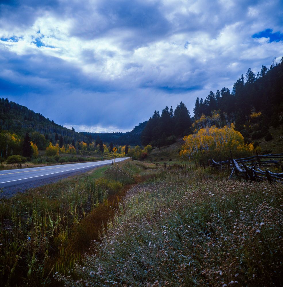 Color photograph of a quiet mountain highway curving through a valley bordered by pine forests and clusters of bright yellow aspens. The sky above is filled with heavy blue-gray clouds, with faint sunbeams filtering through, casting soft light across the autumn landscape. A weathered wooden fence lines the roadside, and wild grasses and flowers grow thick in the foreground. Captured with a Mamiya 6 and 75mm f/3.5 G lens on Kodak Ektachrome 100 film, developed in E-6.