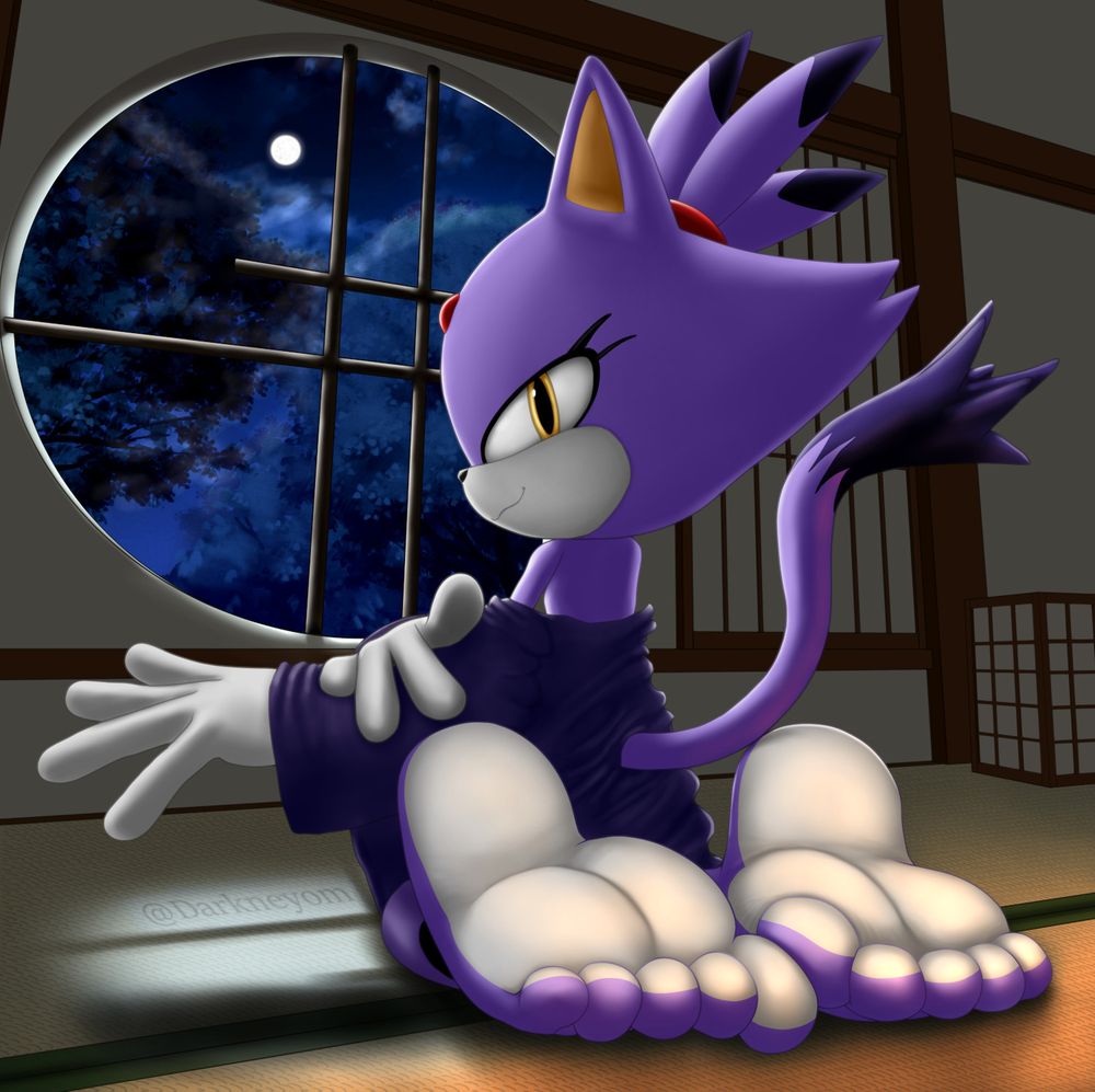 Blaze the cat sitting in a traditional japanese room in front of a moonlit window with her back to the viewer. The moonlight casts a shadow from the window onto the tatami mat and a lantern from out of frame illuminates the two toned soles of her large bare feet. She's looking back to the viewer as she starts removing her kimono with a teasing look on her face.