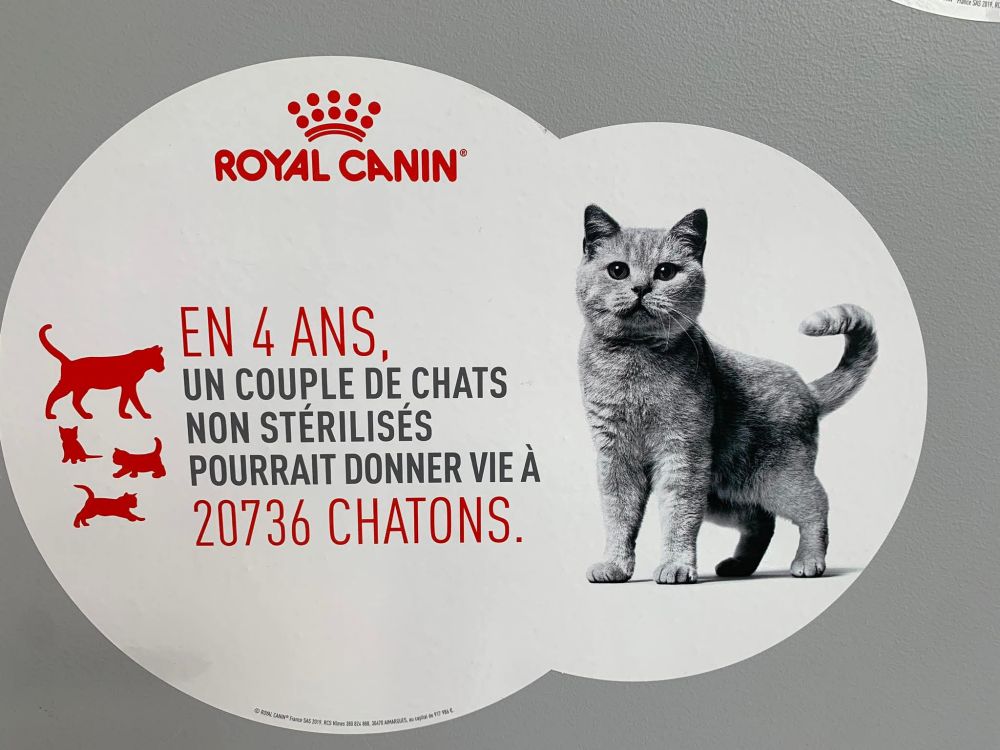 En 4 ans
Un couple de chats non stérilisés
pourrait donner vie
à 20736 CHATONS