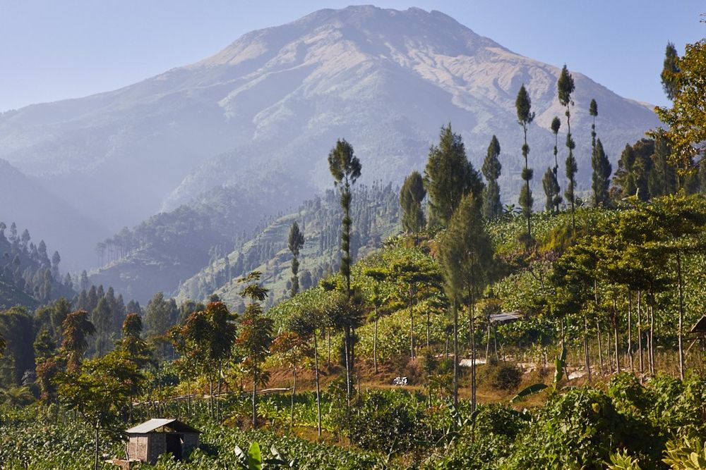 The early morning light at Gunung Sumbing in Central Java, Indonesia. The volcano stands 3,371 metres above sea level and its last eruption was in the year 1730.
#travel #travelphotography #photography #landscape #volcano #indonesia