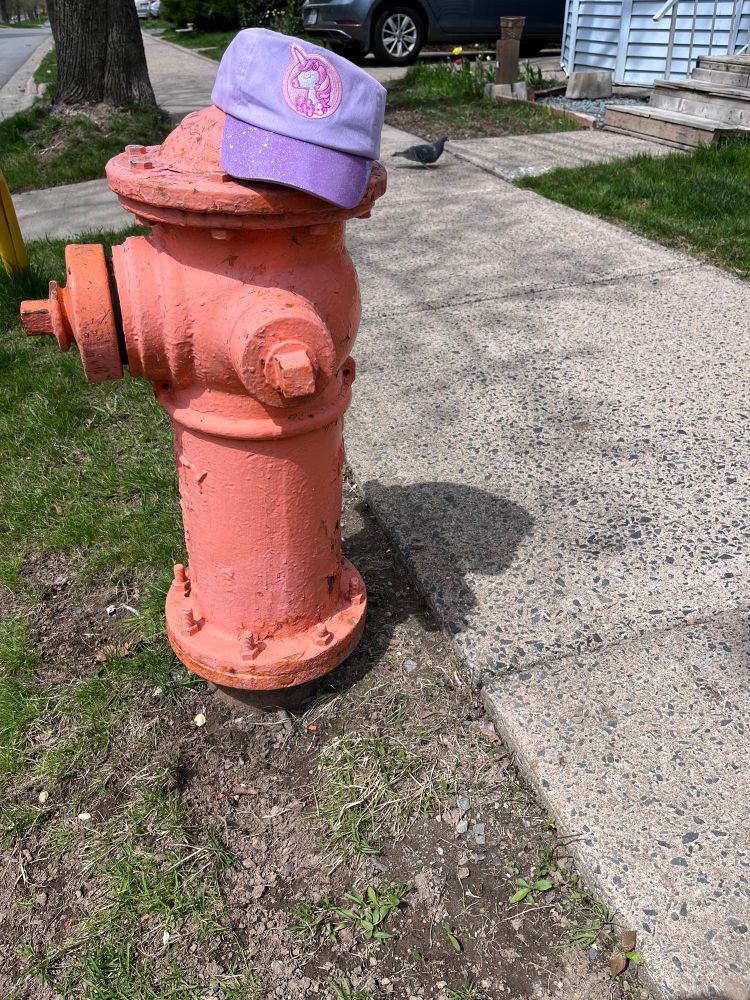 Lavendar sparkley ball cap on an orange fire hydrant with a pigeon on the sidewalk behind it.