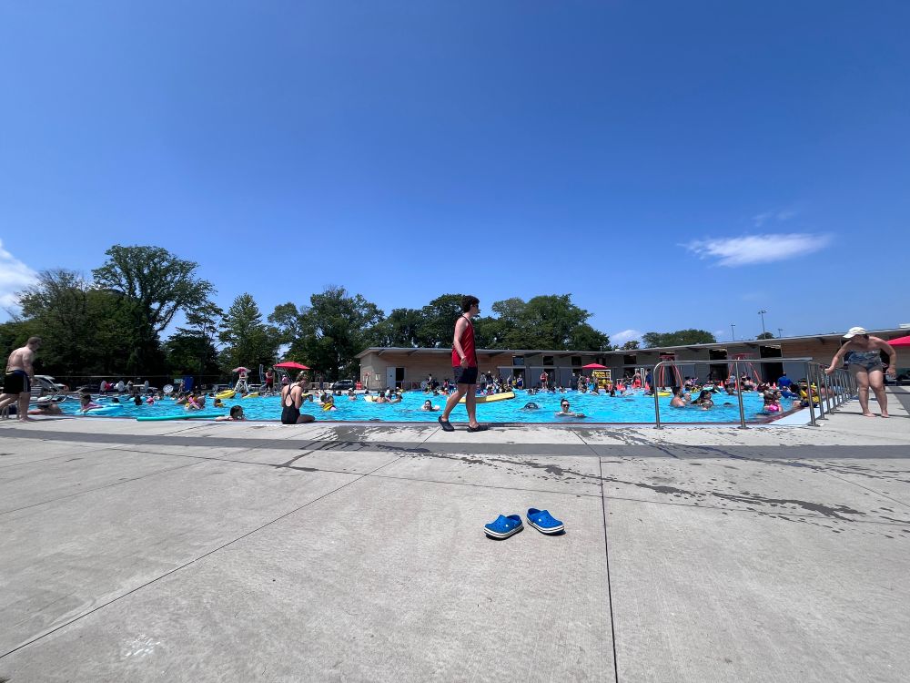 Halifax Commons Pool filled with swimmers, lifeguard patrolling the deck, one cloud in the perfect blue sky, row of majestic trees behind the building.
