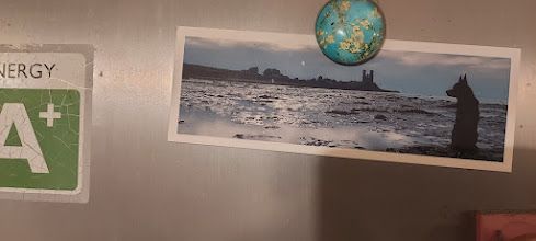 Picture of a Dog looking out to sea