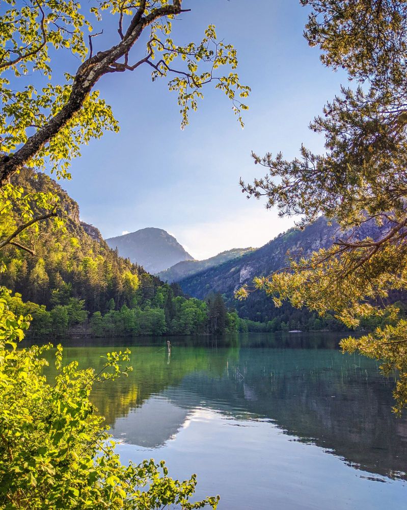 View over Thumsee, our local lake