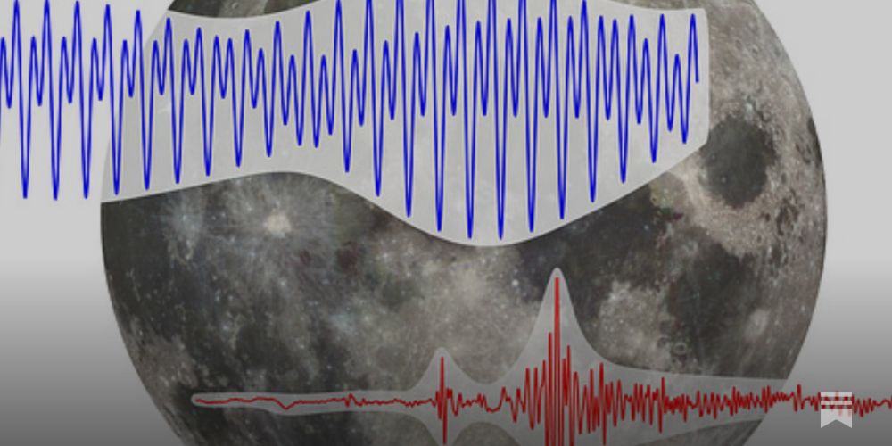 The great tidal earthquake hypothesis test, part II