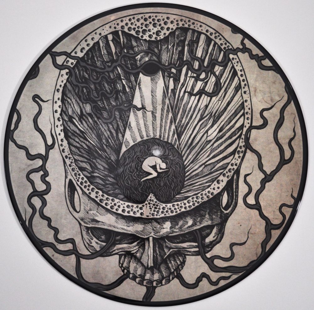 LP The Plaque Within by Paradise Lost. LP D.