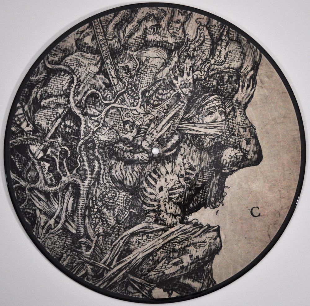 LP The Plaque Within by Paradise Lost. LP C