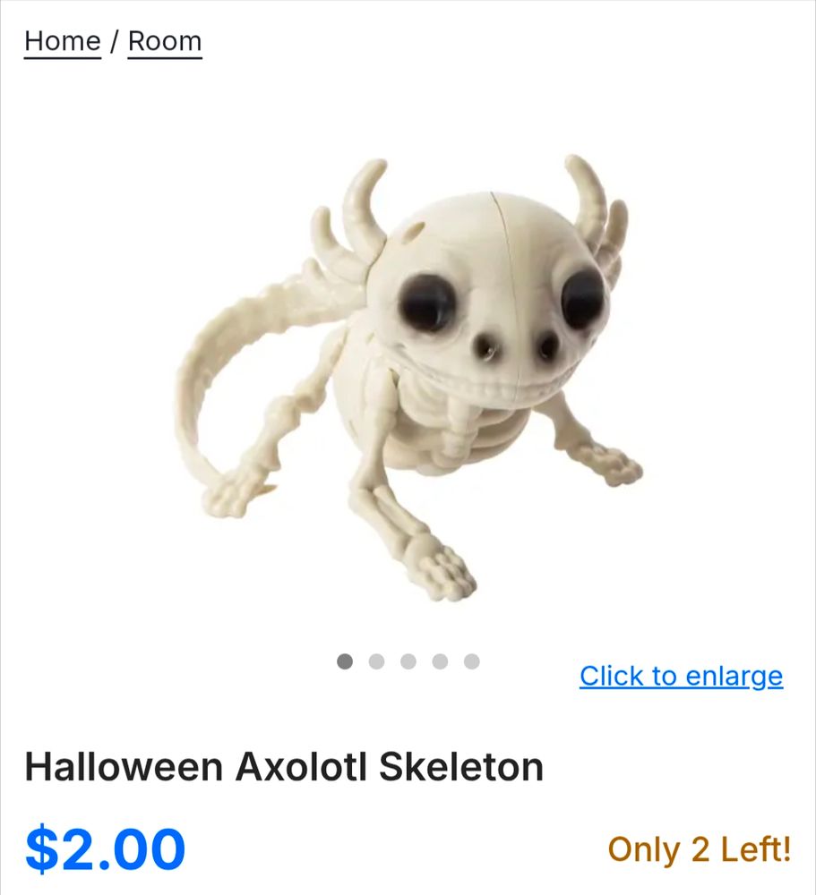 a screenshot of a product listing online. a "Halloween Axolotl Skeleton," a small plastic skeleton of an axolotl. you know it's an axolotl because it has bones in the shape of frills. at this point they're definitely doing this on purpose. 