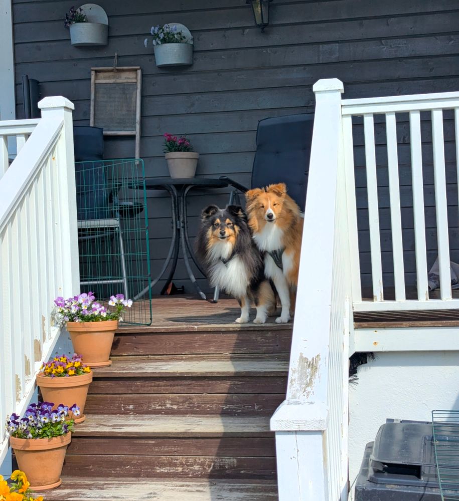 Atlas & Othello 