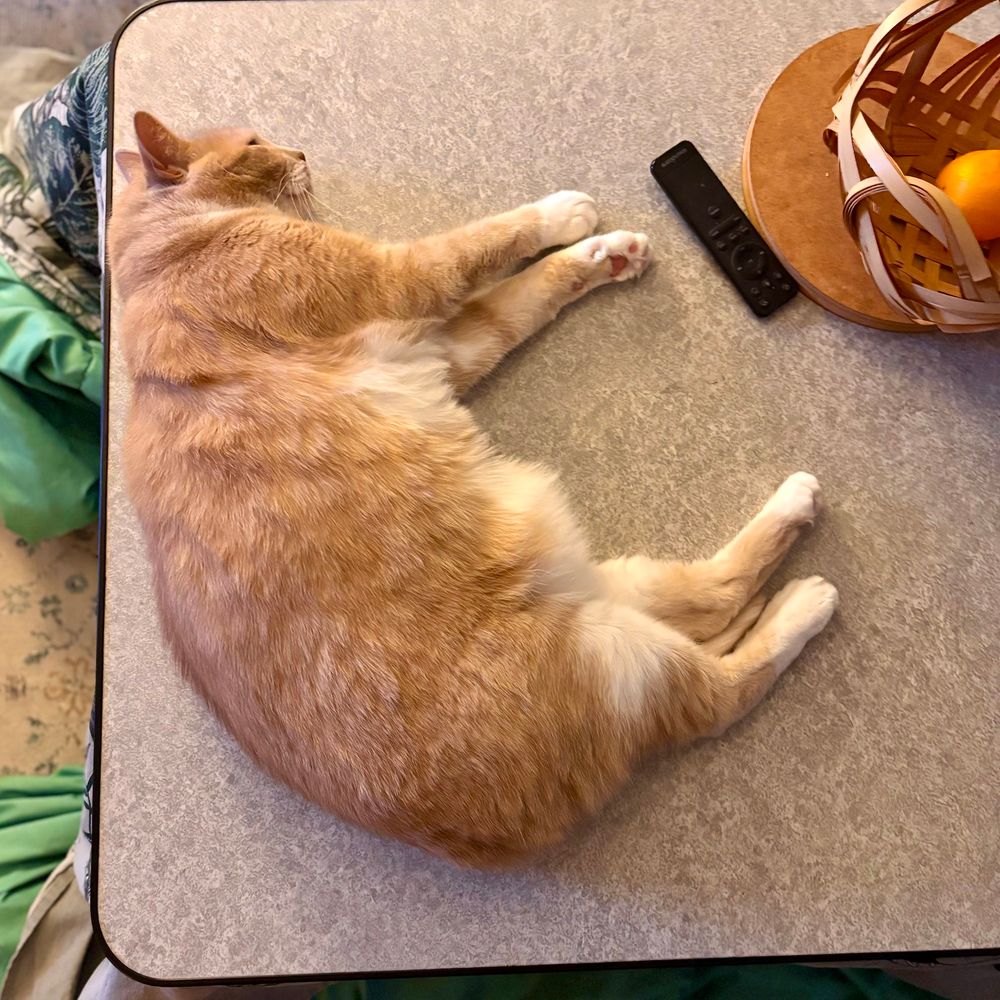 こたつの天板の上で横になっている茶白猫。隣にはリモコンと竹籠に入ったみかん